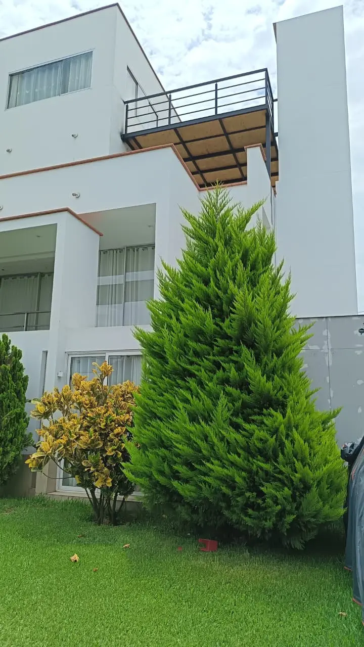 Plataformas en Residenciales — imagen 2